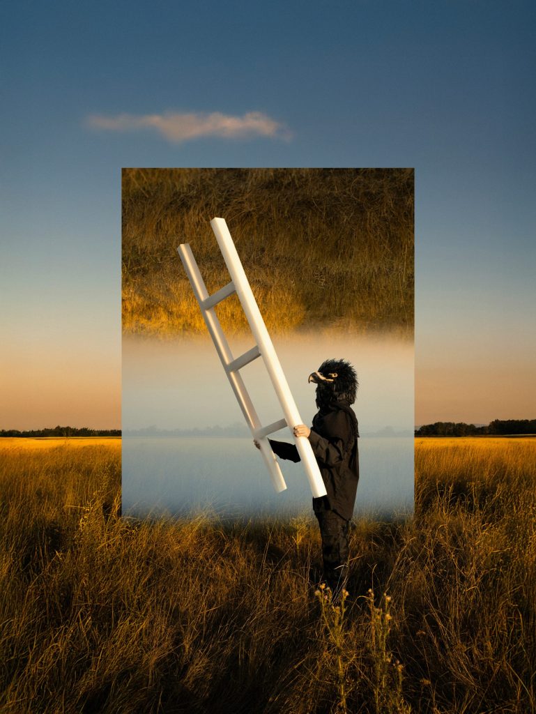Person holding ladder in surreal landscape